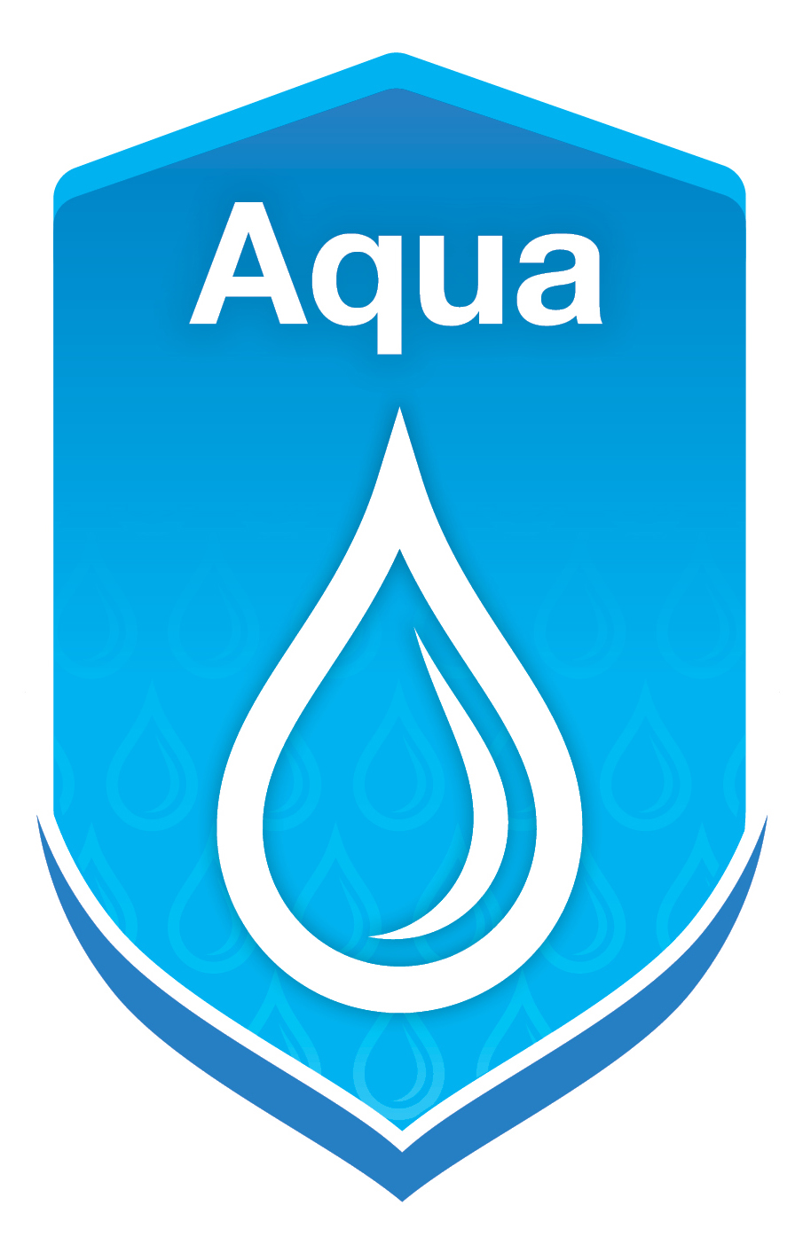517 House Logo Aqua.jpg